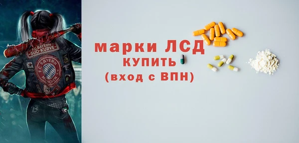 spice Новодвинск