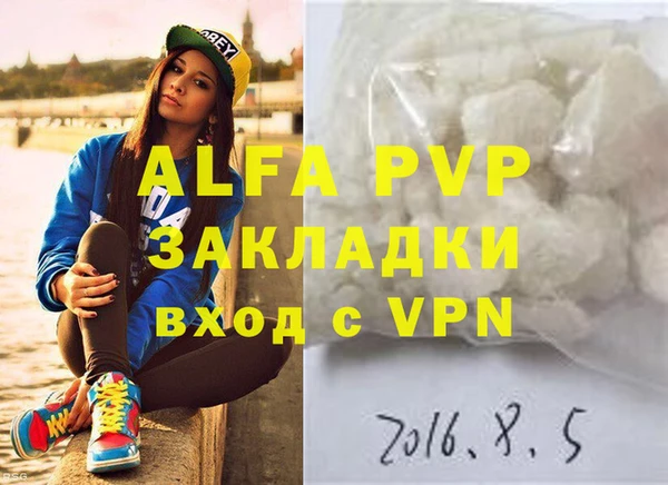 spice Новодвинск